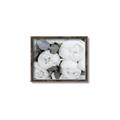 Picture of White Blooms _GroupedProduct_Rectangle_Landscape_Photography _GroupedProduct_Rectangle_Landscape_Canvas_Framed_