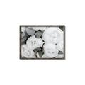 Picture of White Blooms _GroupedProduct_Rectangle_Landscape_Photography _GroupedProduct_Rectangle_Landscape_Canvas_Framed_