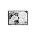 Picture of White Blooms _GroupedProduct_Rectangle_Landscape_Photography _GroupedProduct_Rectangle_Landscape_Canvas_Framed_