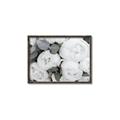 Picture of White Blooms _GroupedProduct_Rectangle_Landscape_Photography _GroupedProduct_Rectangle_Landscape_Canvas_Framed_