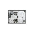 Picture of White Blooms _GroupedProduct_Rectangle_Landscape_Photography _GroupedProduct_Rectangle_Landscape_Canvas_Framed_