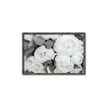 Picture of White Blooms _GroupedProduct_Rectangle_Landscape_Photography _GroupedProduct_Rectangle_Landscape_Canvas_Framed_