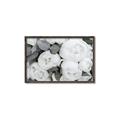 Picture of White Blooms _GroupedProduct_Rectangle_Landscape_Photography _GroupedProduct_Rectangle_Landscape_Canvas_Framed_