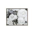 Picture of White Blooms _GroupedProduct_Rectangle_Landscape_Photography _GroupedProduct_Rectangle_Landscape_Canvas_Framed_