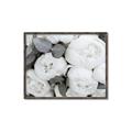 Picture of White Blooms _GroupedProduct_Rectangle_Landscape_Photography _GroupedProduct_Rectangle_Landscape_Canvas_Framed_
