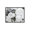 Picture of White Blooms _GroupedProduct_Rectangle_Landscape_Photography _GroupedProduct_Rectangle_Landscape_Canvas_Framed_