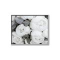 Picture of White Blooms _GroupedProduct_Rectangle_Landscape_Photography _GroupedProduct_Rectangle_Landscape_Canvas_Framed_