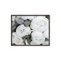 Picture of White Blooms _GroupedProduct_Rectangle_Landscape_Photography _GroupedProduct_Rectangle_Landscape_Canvas_Framed_