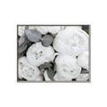 Picture of White Blooms _GroupedProduct_Rectangle_Landscape_Photography _GroupedProduct_Rectangle_Landscape_Canvas_Framed_
