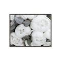 Picture of White Blooms _GroupedProduct_Rectangle_Landscape_Photography _GroupedProduct_Rectangle_Landscape_Canvas_Framed_