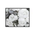 Picture of White Blooms _GroupedProduct_Rectangle_Landscape_Photography _GroupedProduct_Rectangle_Landscape_Canvas_Framed_