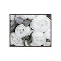 Picture of White Blooms _GroupedProduct_Rectangle_Landscape_Photography _GroupedProduct_Rectangle_Landscape_Canvas_Framed_