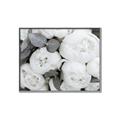 Picture of White Blooms _GroupedProduct_Rectangle_Landscape_Photography _GroupedProduct_Rectangle_Landscape_Canvas_Framed_