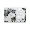 Picture of White Blooms _GroupedProduct_Rectangle_Landscape_Photography _GroupedProduct_Rectangle_Landscape_Canvas_Framed_