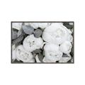 Picture of White Blooms _GroupedProduct_Rectangle_Landscape_Photography _GroupedProduct_Rectangle_Landscape_Canvas_Framed_