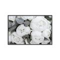 Picture of White Blooms _GroupedProduct_Rectangle_Landscape_Photography _GroupedProduct_Rectangle_Landscape_Canvas_Framed_