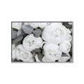 Picture of White Blooms _GroupedProduct_Rectangle_Landscape_Photography _GroupedProduct_Rectangle_Landscape_Canvas_Framed_