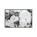 Picture of White Blooms _GroupedProduct_Rectangle_Landscape_Photography _GroupedProduct_Rectangle_Landscape_Canvas_Framed_