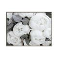 Picture of White Blooms _GroupedProduct_Rectangle_Landscape_Photography _GroupedProduct_Rectangle_Landscape_Canvas_Framed_