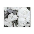 Picture of White Blooms _GroupedProduct_Rectangle_Landscape_Photography _GroupedProduct_Rectangle_Landscape_Canvas_Framed_