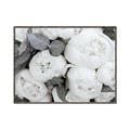 Picture of White Blooms _GroupedProduct_Rectangle_Landscape_Photography _GroupedProduct_Rectangle_Landscape_Canvas_Framed_