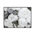 Picture of White Blooms _GroupedProduct_Rectangle_Landscape_Photography _GroupedProduct_Rectangle_Landscape_Canvas_Framed_