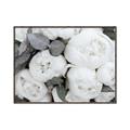 Picture of White Blooms _GroupedProduct_Rectangle_Landscape_Photography _GroupedProduct_Rectangle_Landscape_Canvas_Framed_