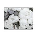 Picture of White Blooms _GroupedProduct_Rectangle_Landscape_Photography _GroupedProduct_Rectangle_Landscape_Canvas_Framed_