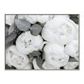 Picture of White Blooms _GroupedProduct_Rectangle_Landscape_Photography _GroupedProduct_Rectangle_Landscape_Canvas_Framed_