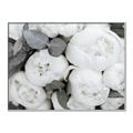 Picture of White Blooms _GroupedProduct_Rectangle_Landscape_Photography _GroupedProduct_Rectangle_Landscape_Canvas_Framed_