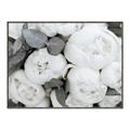Picture of White Blooms _GroupedProduct_Rectangle_Landscape_Photography _GroupedProduct_Rectangle_Landscape_Canvas_Framed_