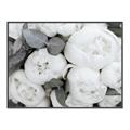 Picture of White Blooms _GroupedProduct_Rectangle_Landscape_Photography _GroupedProduct_Rectangle_Landscape_Canvas_Framed_
