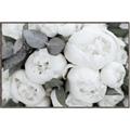 Picture of White Blooms _GroupedProduct_Rectangle_Landscape_Photography _GroupedProduct_Rectangle_Landscape_Canvas_Framed_