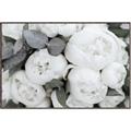 Picture of White Blooms _GroupedProduct_Rectangle_Landscape_Photography _GroupedProduct_Rectangle_Landscape_Canvas_Framed_