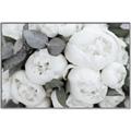 Picture of White Blooms _GroupedProduct_Rectangle_Landscape_Photography _GroupedProduct_Rectangle_Landscape_Canvas_Framed_