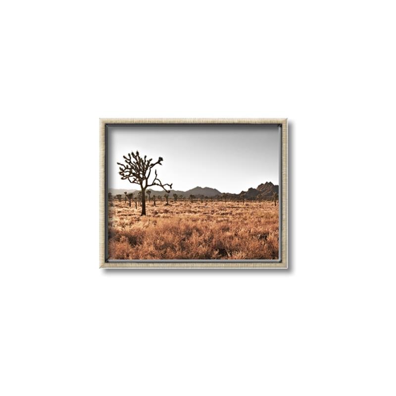 Picture of One Tree _GroupedProduct_Rectangle_Landscape_Photography _GroupedProduct_Rectangle_Landscape_Canvas_Framed_