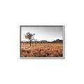 Picture of One Tree _GroupedProduct_Rectangle_Landscape_Photography _GroupedProduct_Rectangle_Landscape_Canvas_Framed_