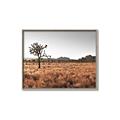 Picture of One Tree _GroupedProduct_Rectangle_Landscape_Photography _GroupedProduct_Rectangle_Landscape_Canvas_Framed_