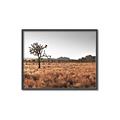 Picture of One Tree _GroupedProduct_Rectangle_Landscape_Photography _GroupedProduct_Rectangle_Landscape_Canvas_Framed_