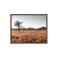 Picture of One Tree _GroupedProduct_Rectangle_Landscape_Photography _GroupedProduct_Rectangle_Landscape_Canvas_Framed_
