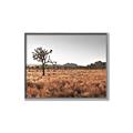 Picture of One Tree _GroupedProduct_Rectangle_Landscape_Photography _GroupedProduct_Rectangle_Landscape_Canvas_Framed_