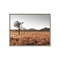 Picture of One Tree _GroupedProduct_Rectangle_Landscape_Photography _GroupedProduct_Rectangle_Landscape_Canvas_Framed_