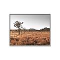 Picture of One Tree _GroupedProduct_Rectangle_Landscape_Photography _GroupedProduct_Rectangle_Landscape_Canvas_Framed_
