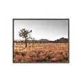 Picture of One Tree _GroupedProduct_Rectangle_Landscape_Photography _GroupedProduct_Rectangle_Landscape_Canvas_Framed_