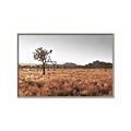 Picture of One Tree _GroupedProduct_Rectangle_Landscape_Photography _GroupedProduct_Rectangle_Landscape_Canvas_Framed_