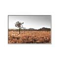 Picture of One Tree _GroupedProduct_Rectangle_Landscape_Photography _GroupedProduct_Rectangle_Landscape_Canvas_Framed_