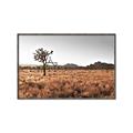 Picture of One Tree _GroupedProduct_Rectangle_Landscape_Photography _GroupedProduct_Rectangle_Landscape_Canvas_Framed_