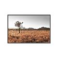Picture of One Tree _GroupedProduct_Rectangle_Landscape_Photography _GroupedProduct_Rectangle_Landscape_Canvas_Framed_
