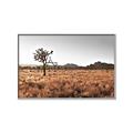 Picture of One Tree _GroupedProduct_Rectangle_Landscape_Photography _GroupedProduct_Rectangle_Landscape_Canvas_Framed_
