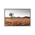 Picture of One Tree _GroupedProduct_Rectangle_Landscape_Photography _GroupedProduct_Rectangle_Landscape_Canvas_Framed_
